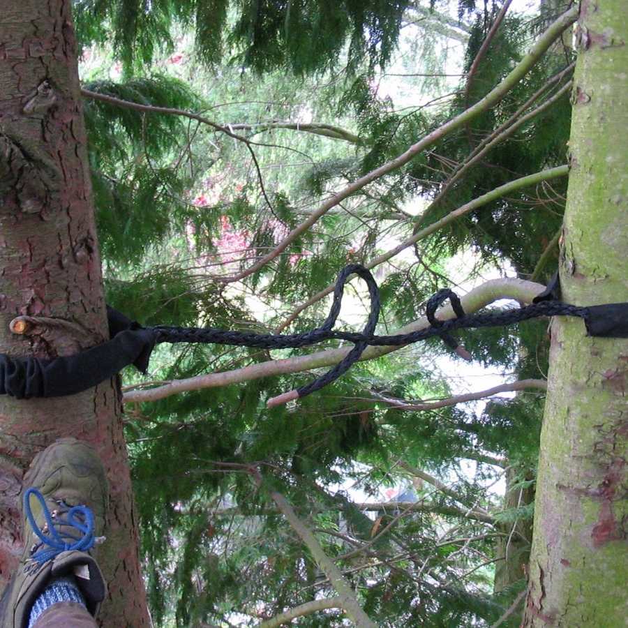 Tree cabling and structural support installed by arborists