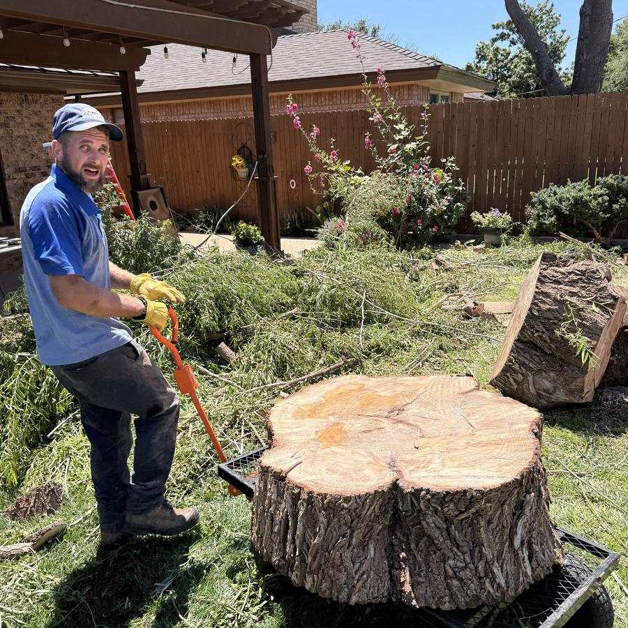 Crew member grinding out a large stump in a backyard