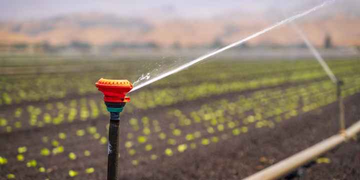 sprinkler system startup in Lubbock, TX